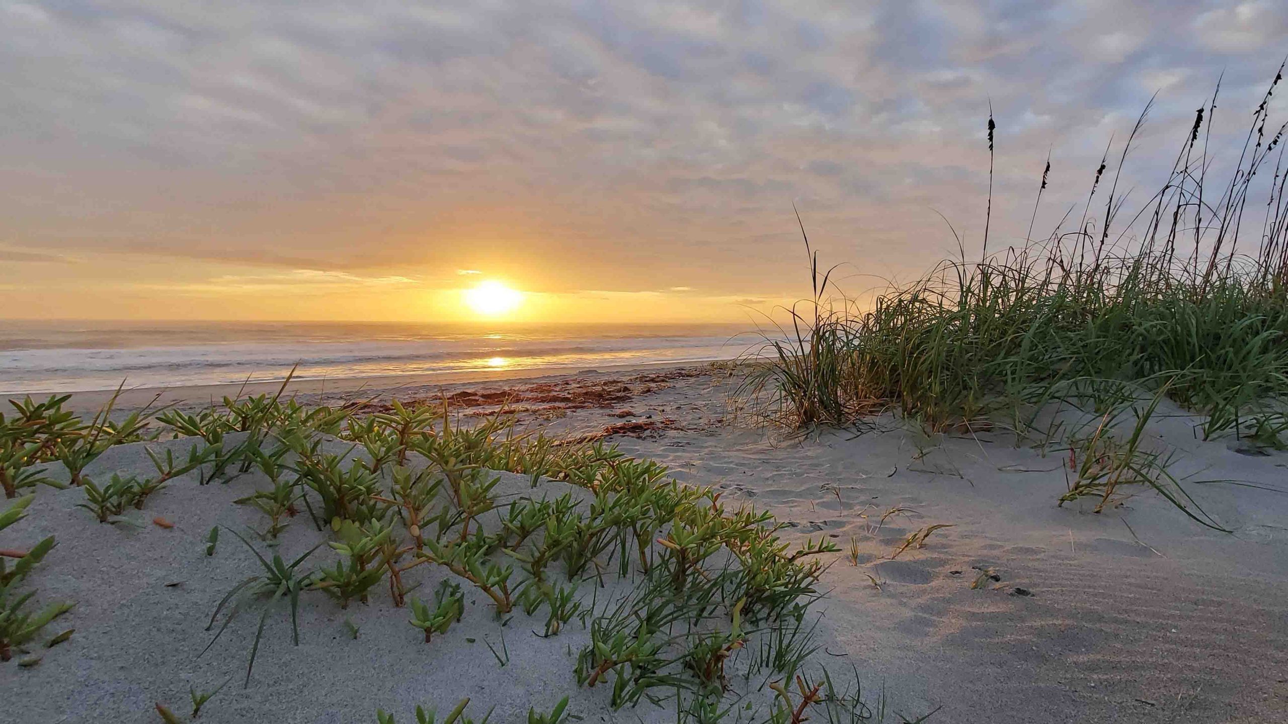 Ashton Park DIX Developments