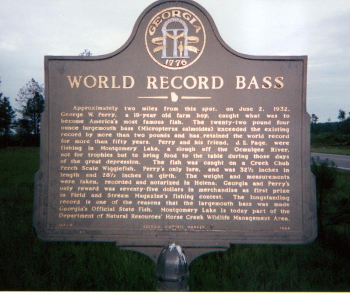 bass fisning bass fishing in