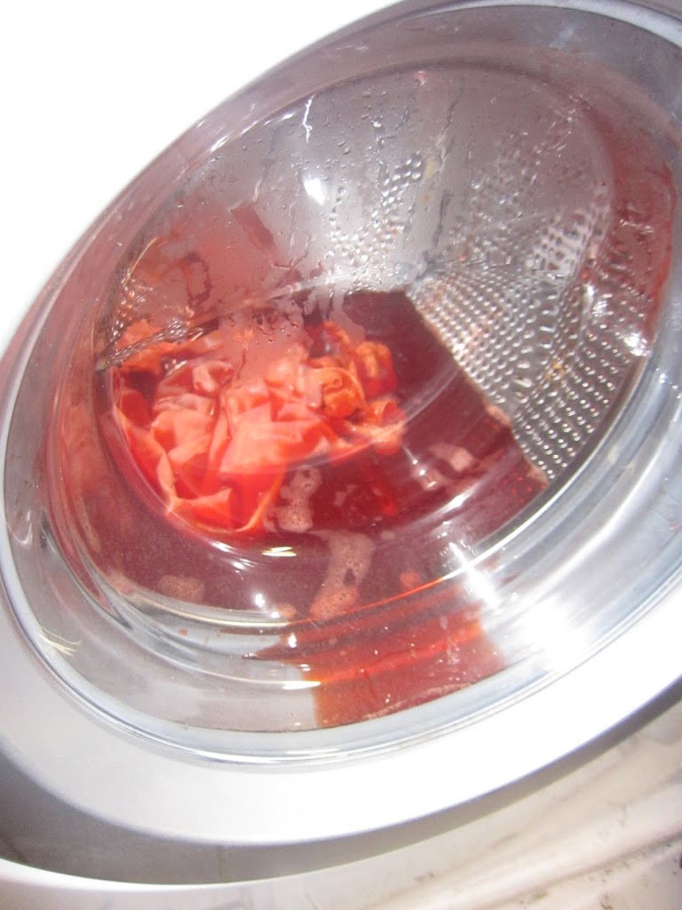 Learning a New Skill, or, an iDye Review Dixie DIY