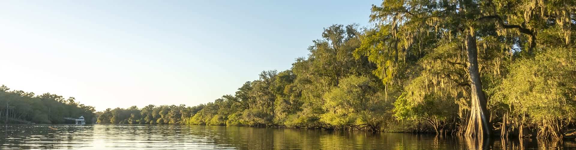 Dixie County Tax Collector