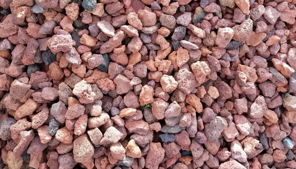 Home Dixie Yard Works