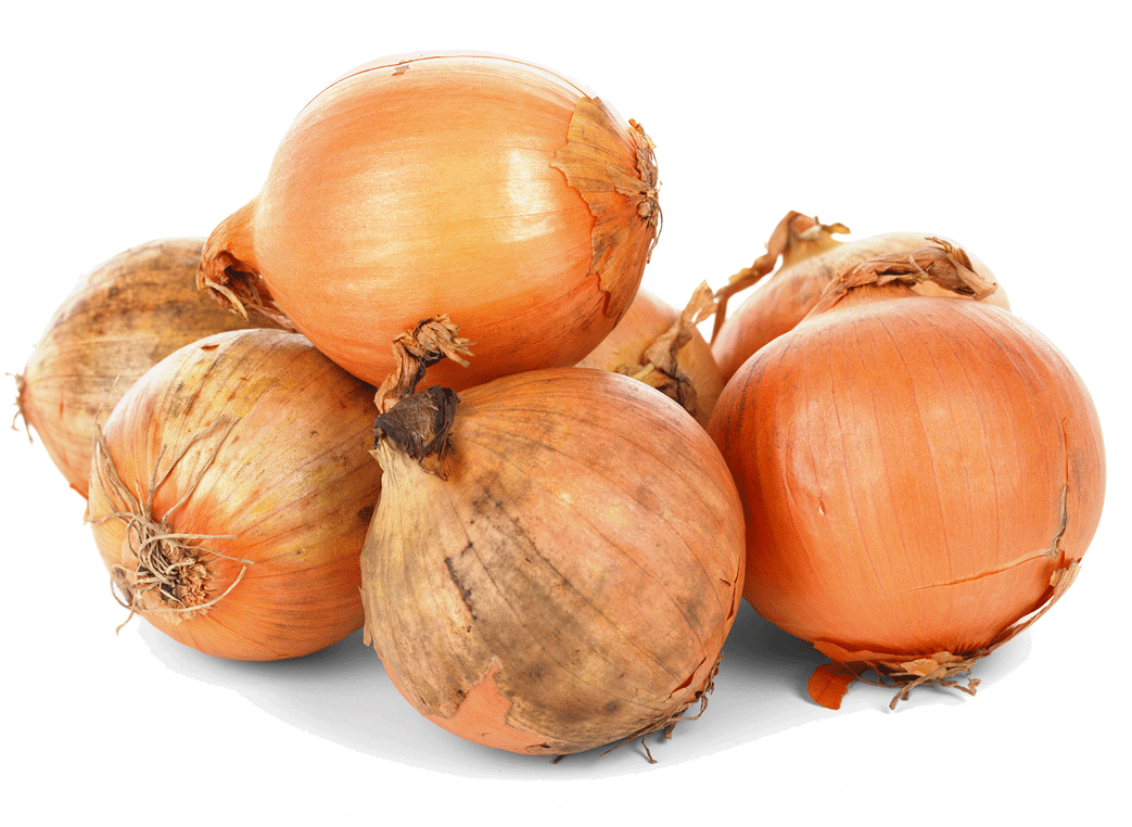 Onion Growing Guides Dixondale Farms