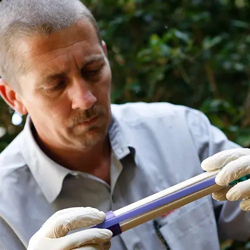 Pest Control Company in Tallahassee Exterminators