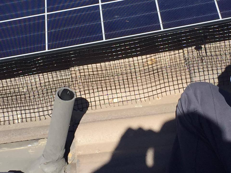 solar DIXON PEST CONTROL