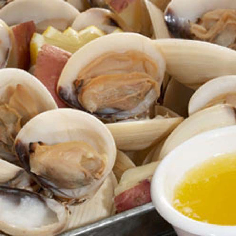 Topneck Clams Large Dixon Fisheries