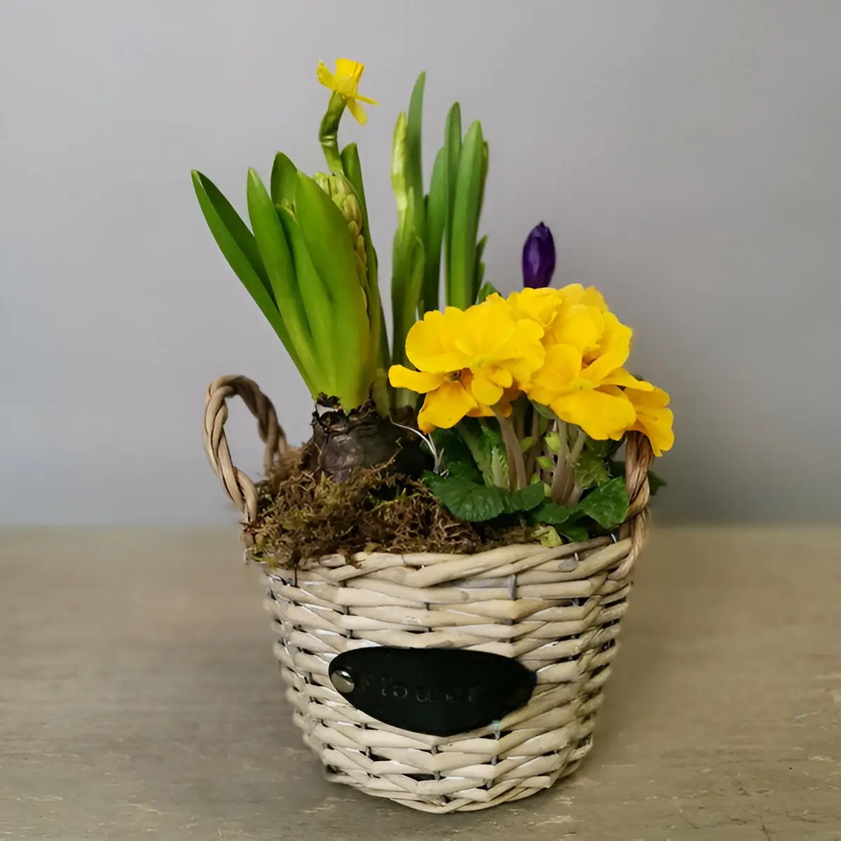 DIY Bulb Baskets + Spring Flower Basket Ideas