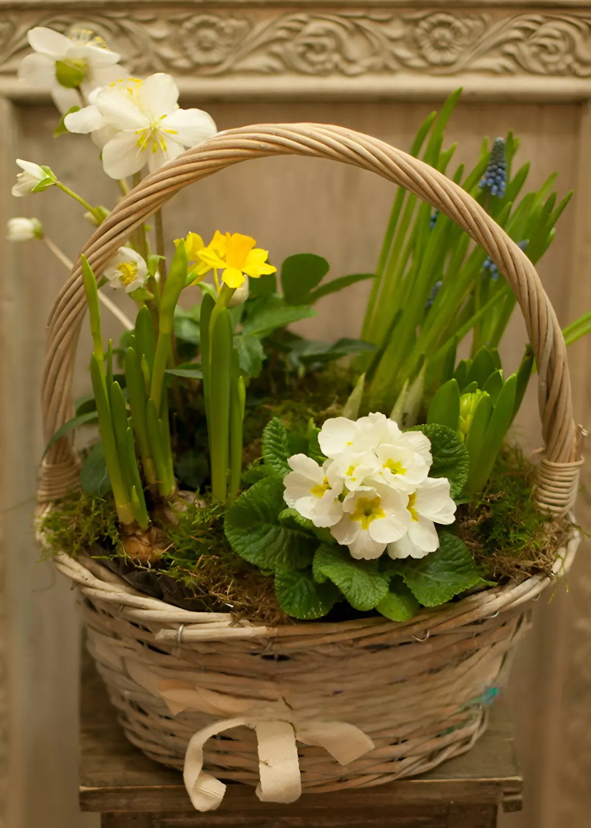 DIY Bulb Baskets + Spring Flower Basket Ideas