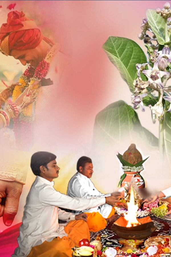Ark Vivah For Male Diyabati