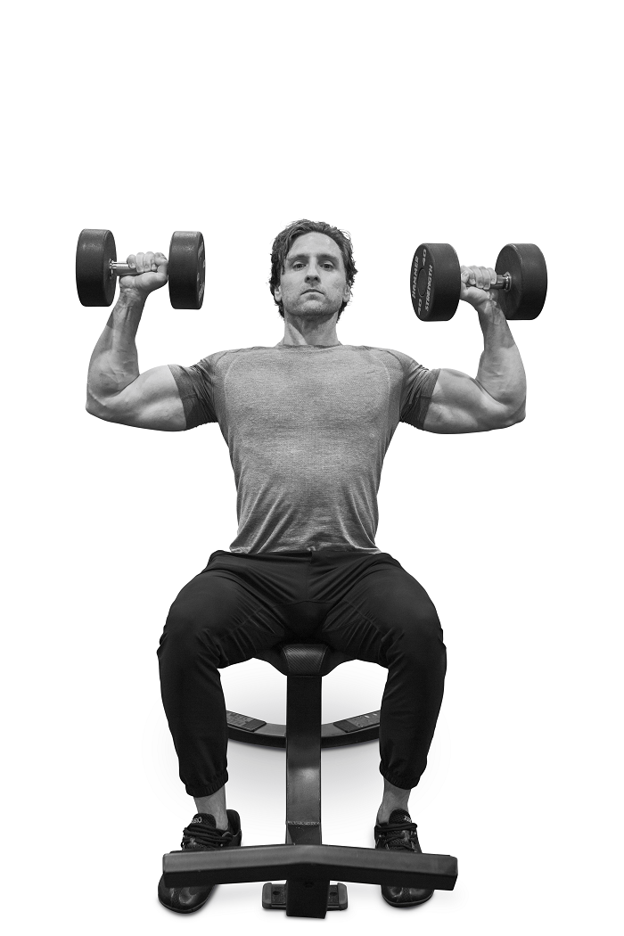 Best Home Workout Program to Build Muscle DIY Active