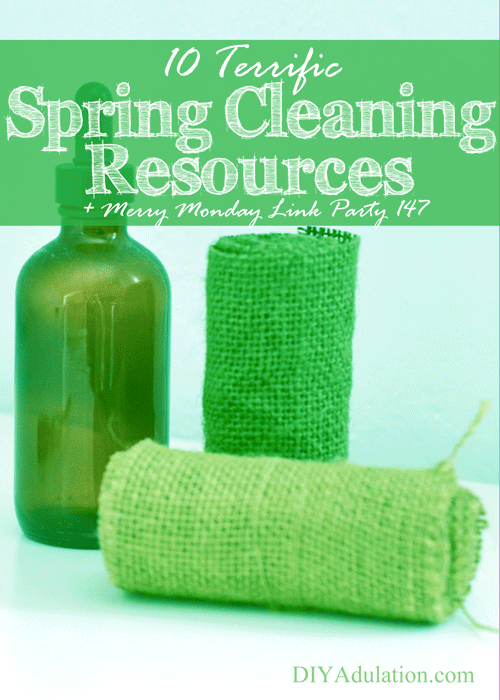 10 Terrific Spring Cleaning Resources to Rock Your Refresh DIY Adulation