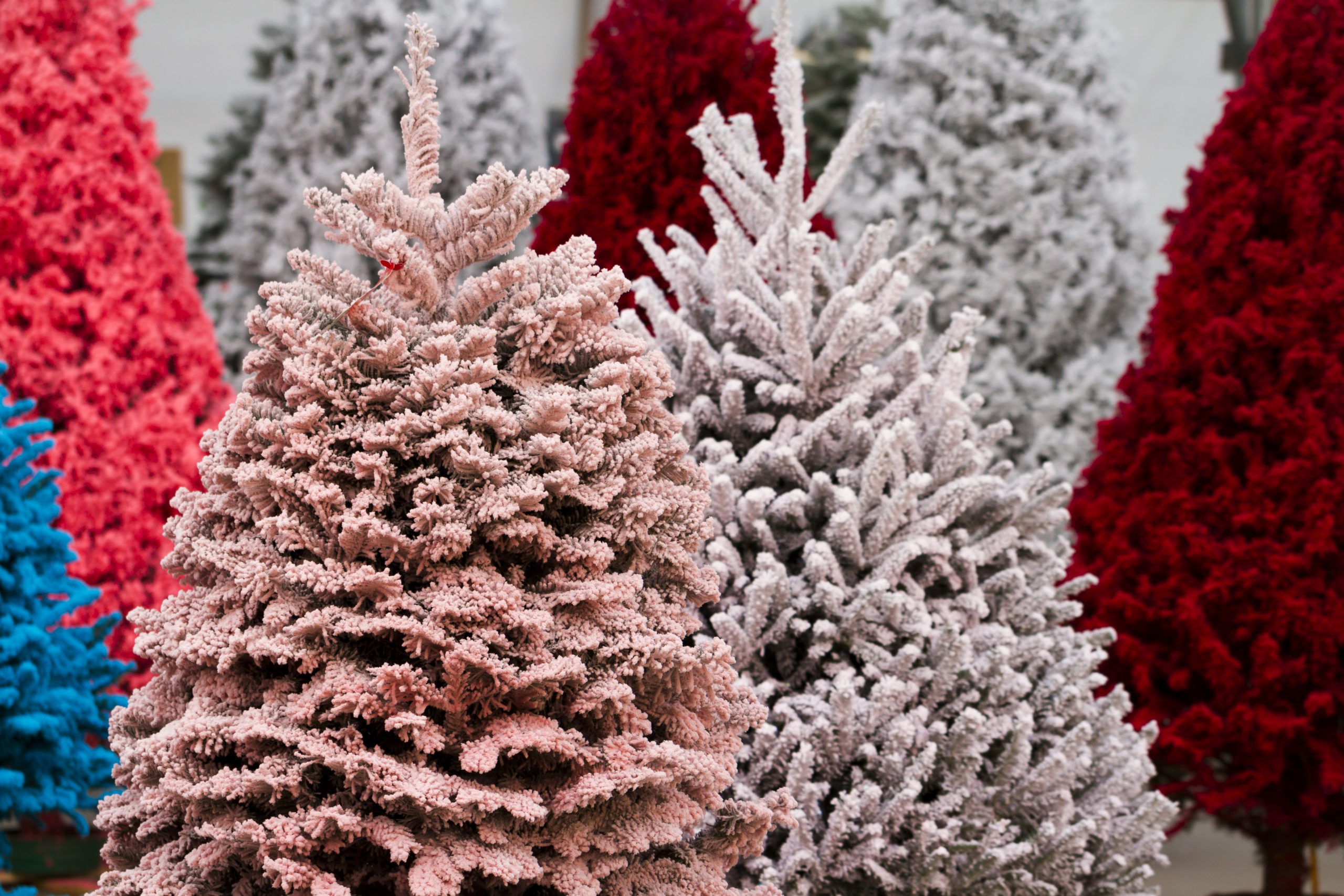 Real vs. Artificial Christmas Trees, Which is Better? DIY Christmas