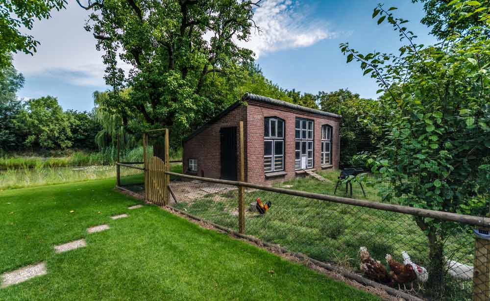 How to Build a Chicken Run The Complete StepbyStep Guide