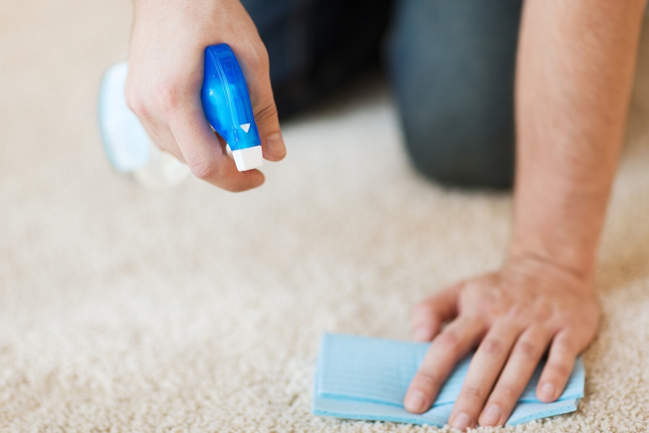 The Benefits of Hiring Professional Cleaners for Your Carpets