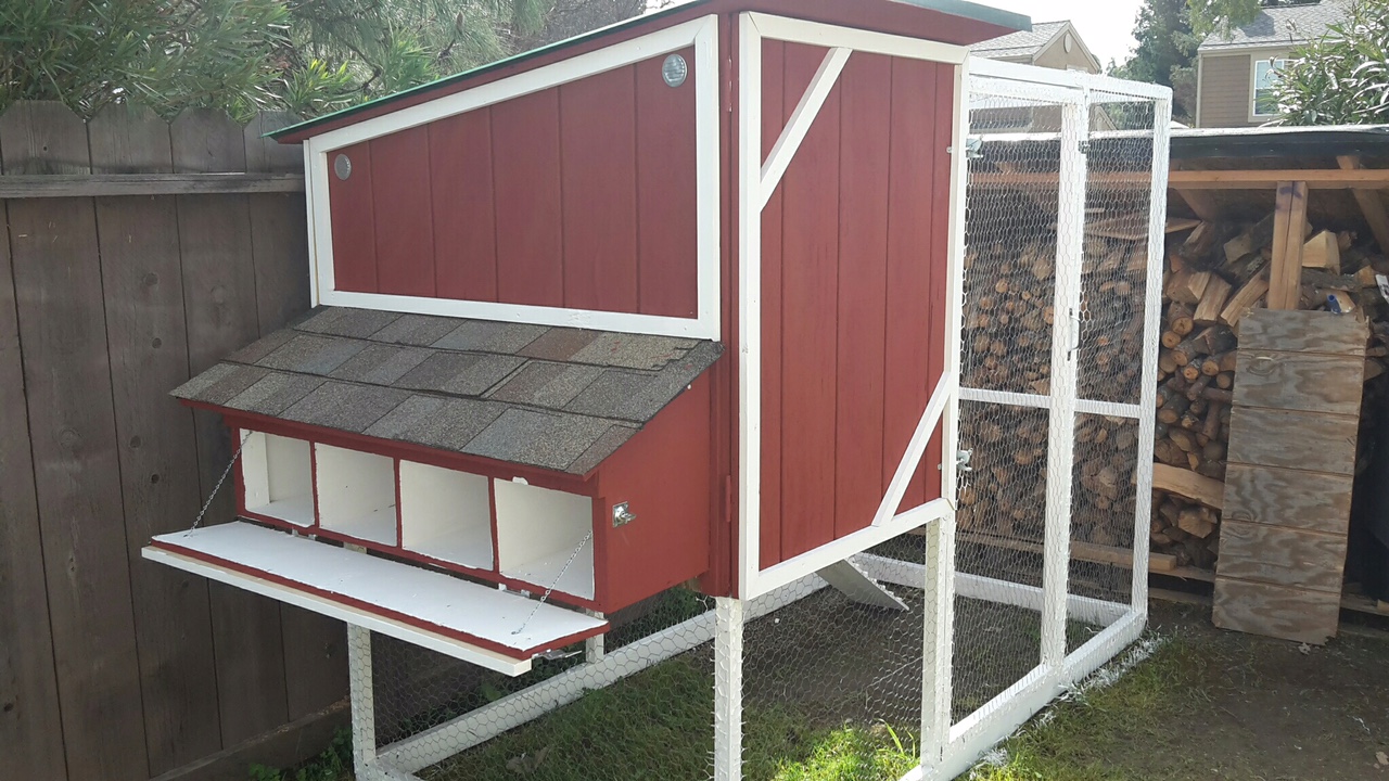 How to Make Your DIY Chicken Coop Cozy DIY Done Right