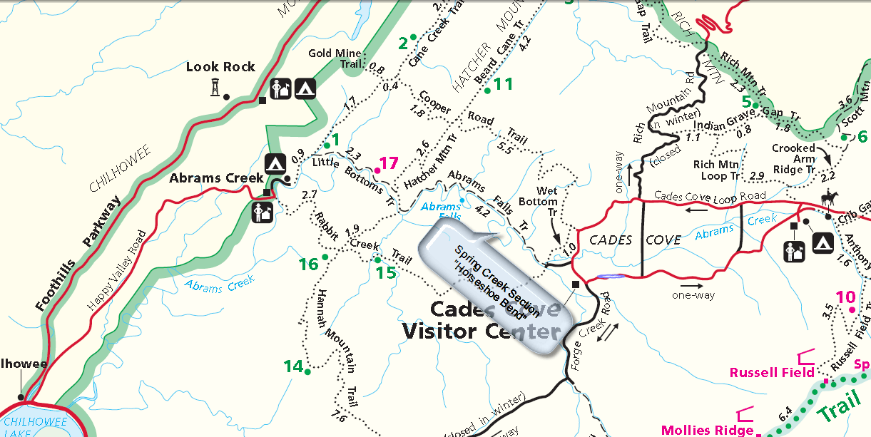 Abrams Creek Fly Fishing Guide