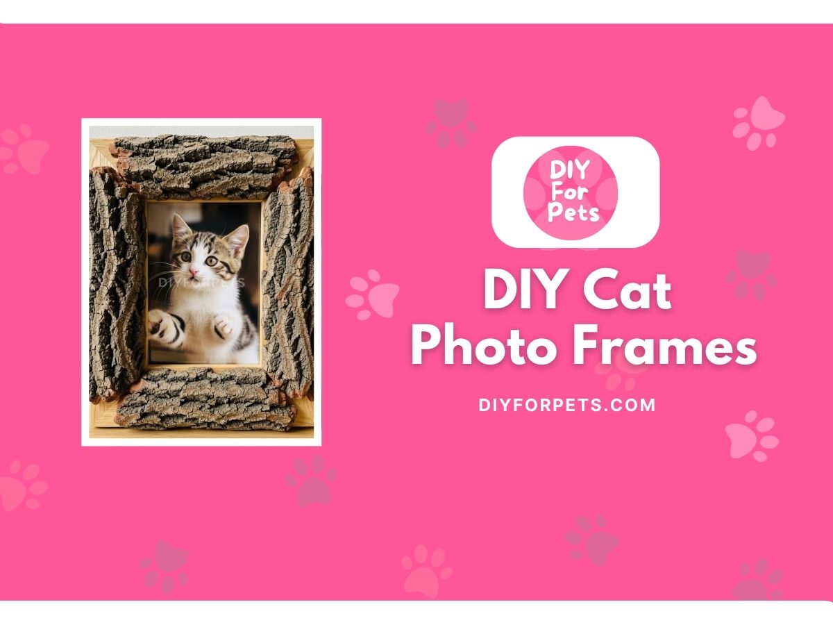7 DIY Cat Costumes (Cute, Unique, Fun) DIY For Pets