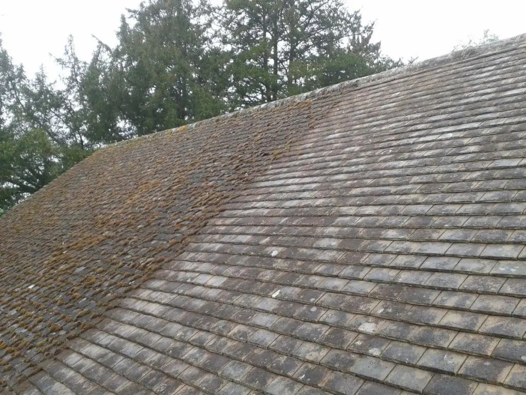 Roof Moss Removal Cost The Complete Guide to Roof Moss