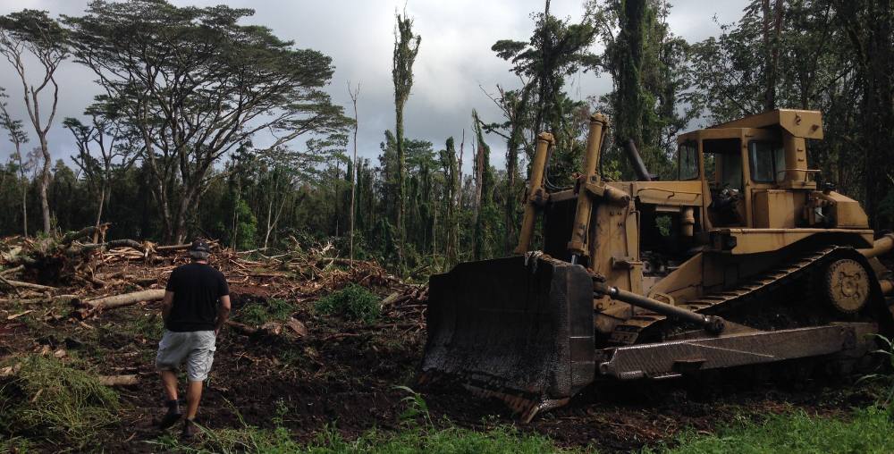 Land Clearing in Hawaii Before Building a Geodesic Dome DIY Geodesic Dome