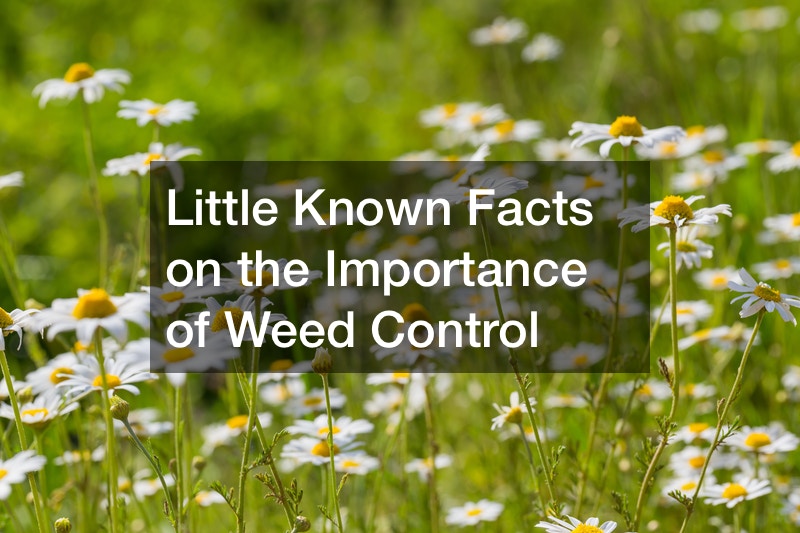 Little Known Facts on the Importance of Weed Control Diy Index