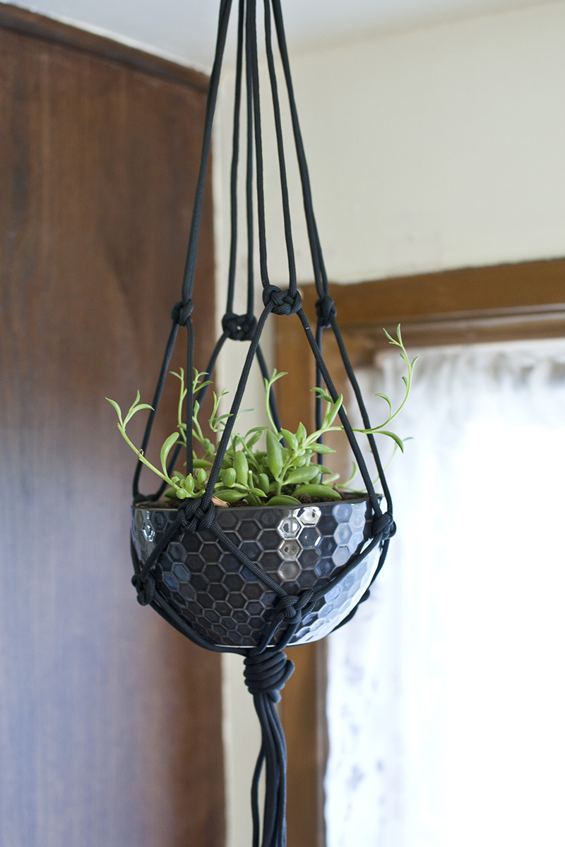 DIY Macrame Plant Hanger