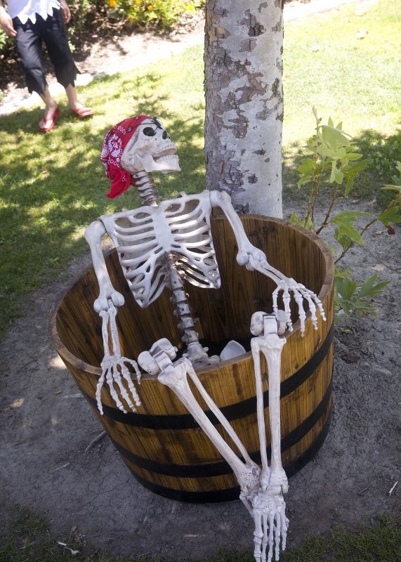Best DIY Pirate Party Ideas DIY Inspired