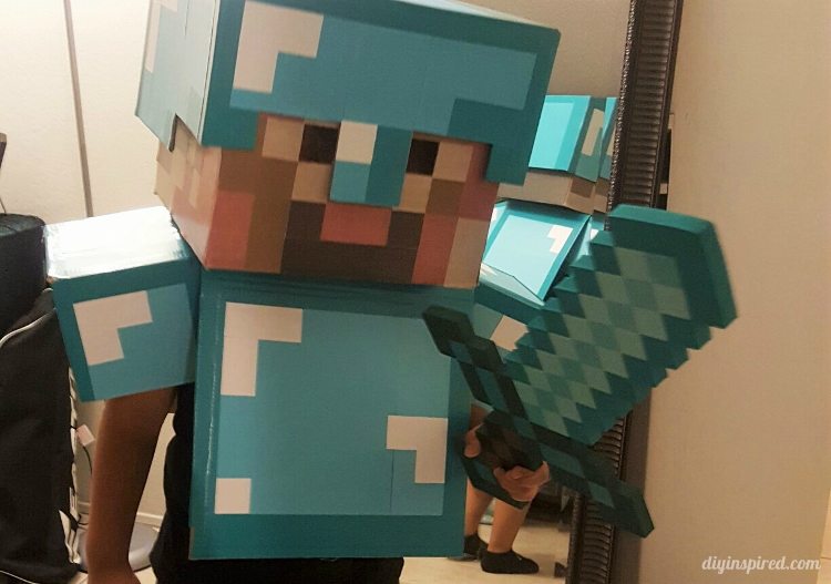 Diamond Armor Costume