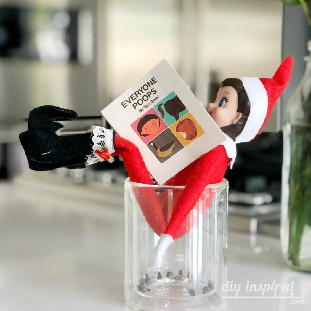 Everyone Poops Elf DIY Inspired