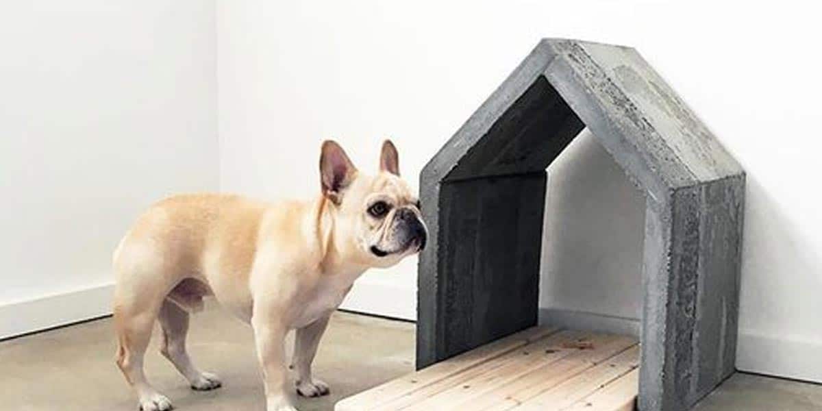 Super Easy & Very Sturdy DIY Concrete Dog House