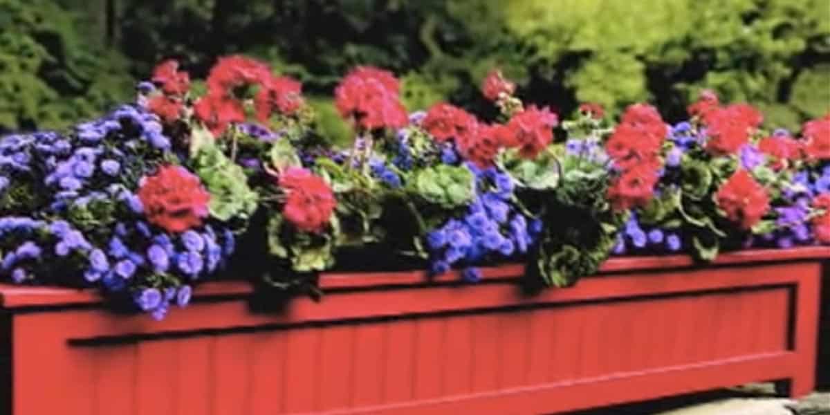 Charming Flower Outdoor Planter Box Brightens Up Any Yard!