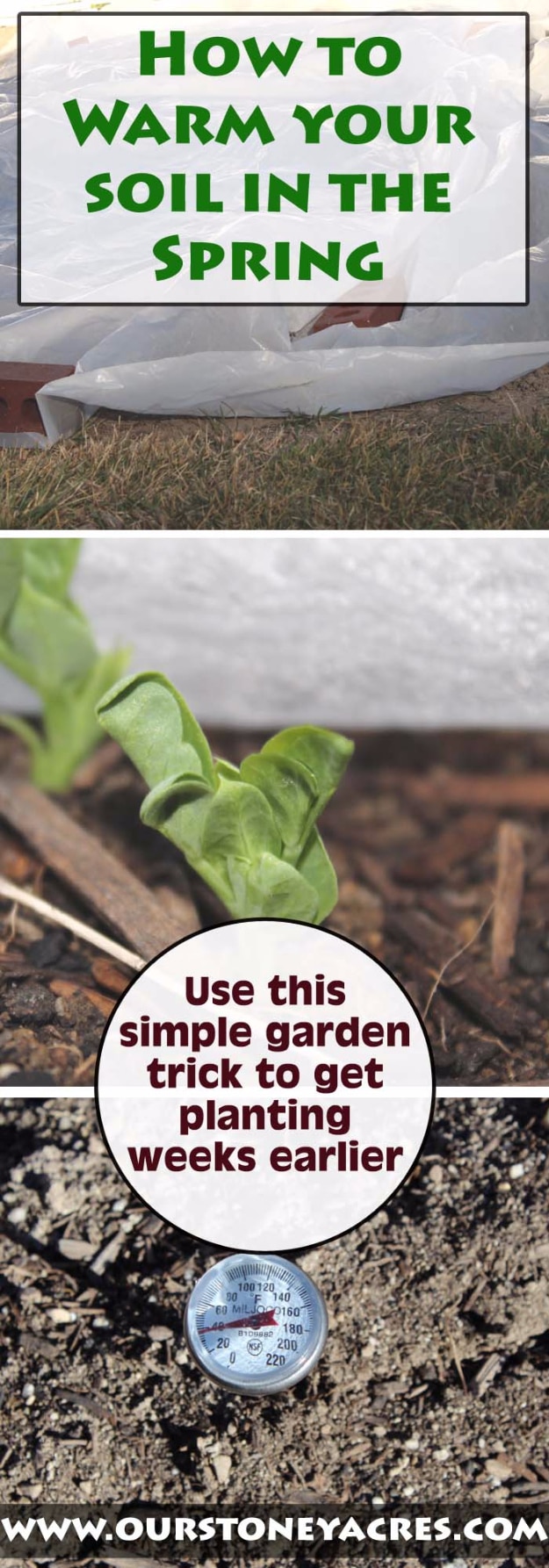 31 Awesome DIY Tips for Spring Gardening