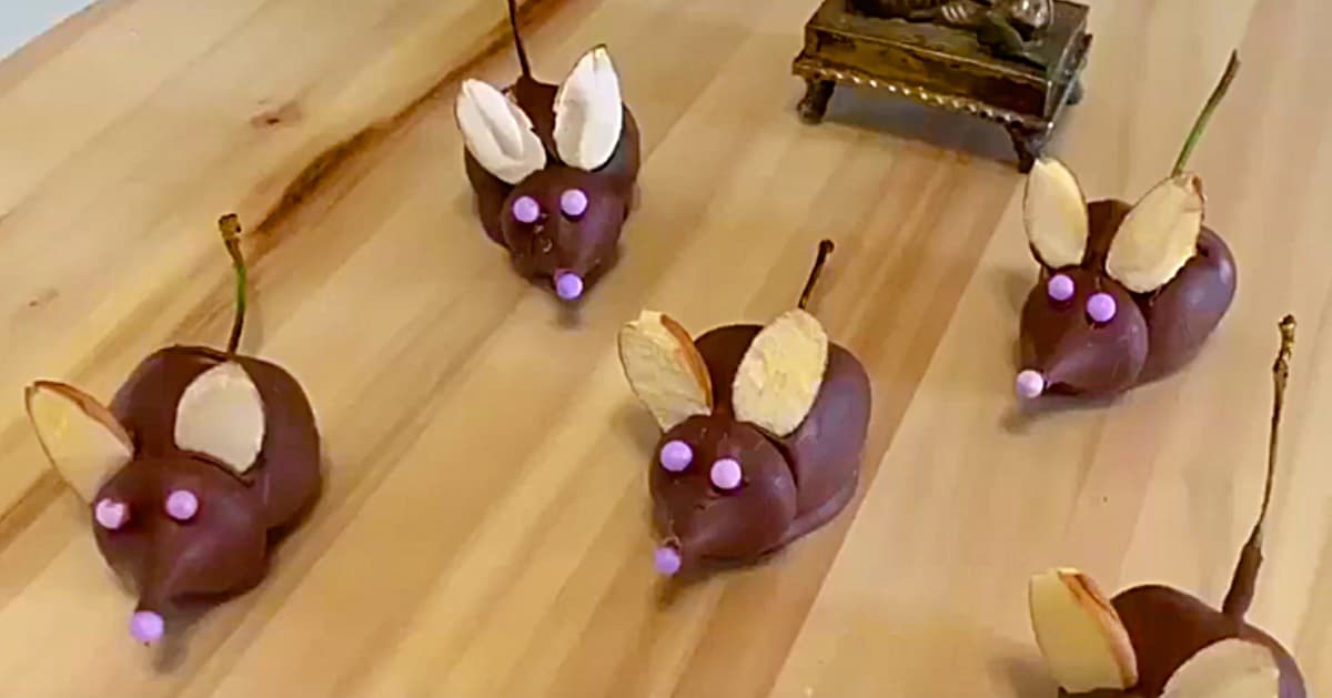 Chocolate Covered Cherry Mice Recipe