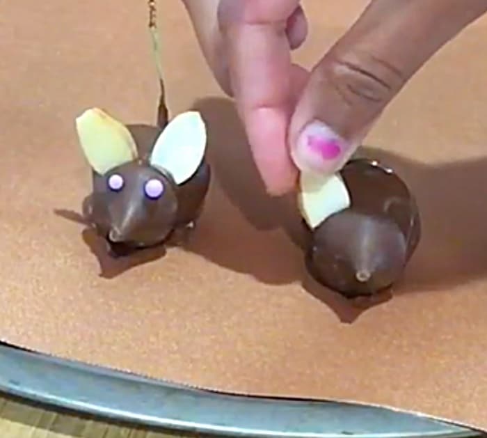 Chocolate Covered Cherry Mice Recipe