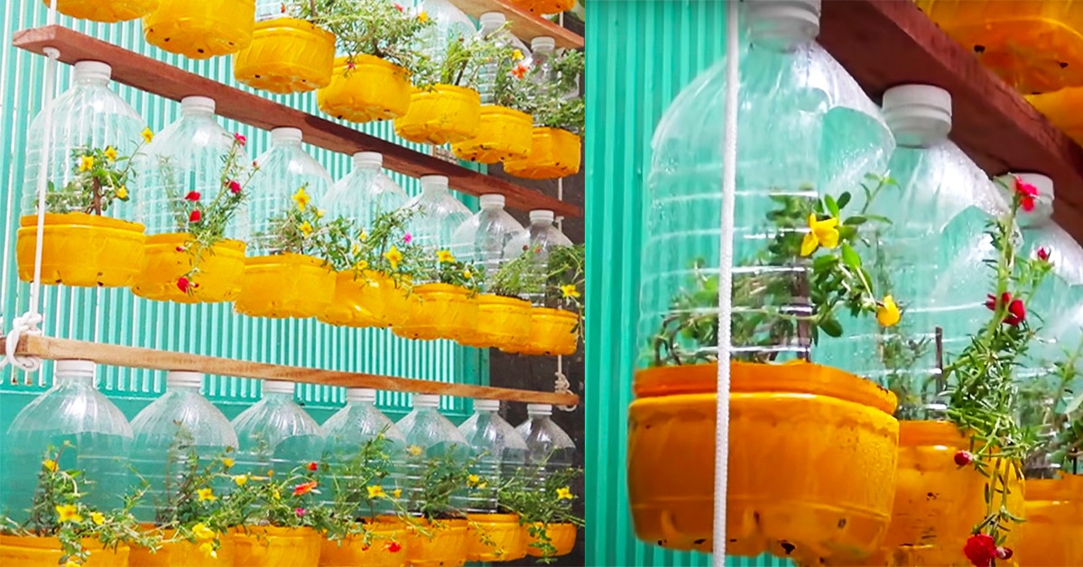 How To Recycle Plastic Bottles Into Hanging Flower Pots