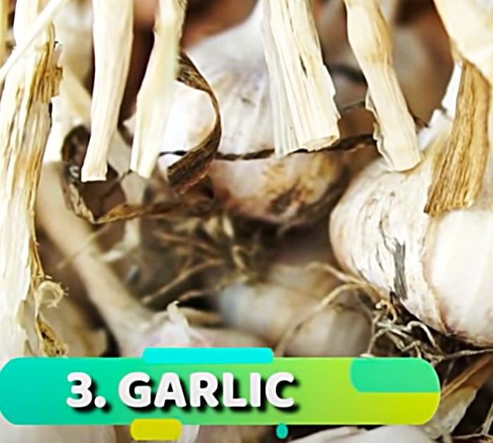 7 Natural Ways To Repel Mice