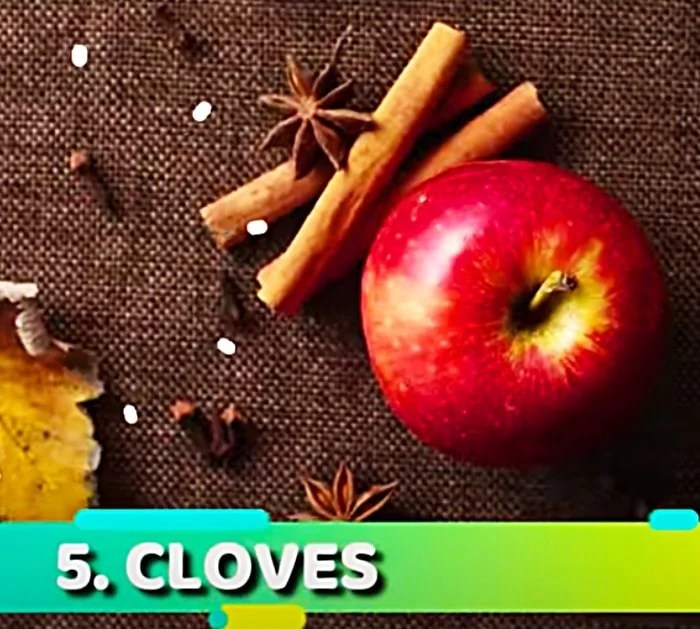 7 Natural Ways To Repel Mice