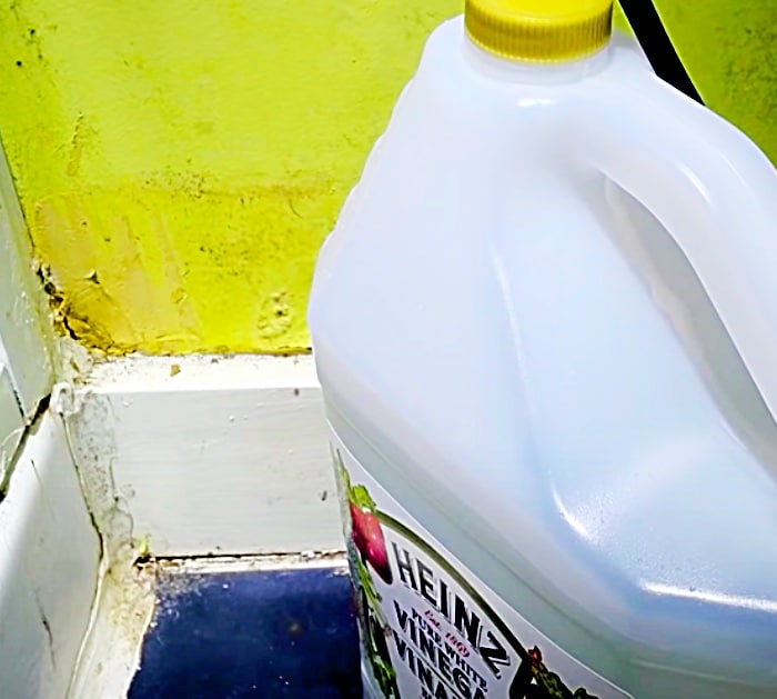 5 Ways To Use Vinegar In The Garden