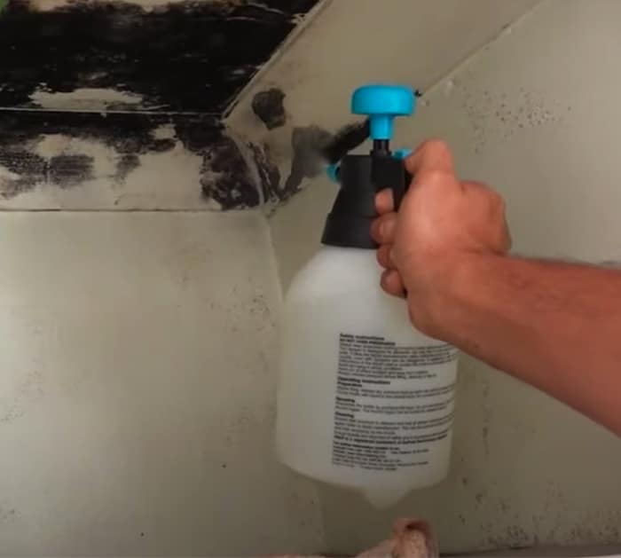 How To Remove And Kill Mold