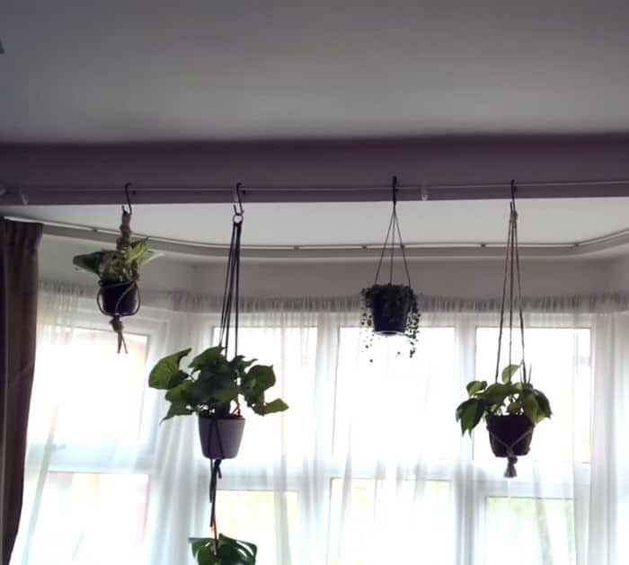 10 Hanging Plant DIY Hacks for Renters