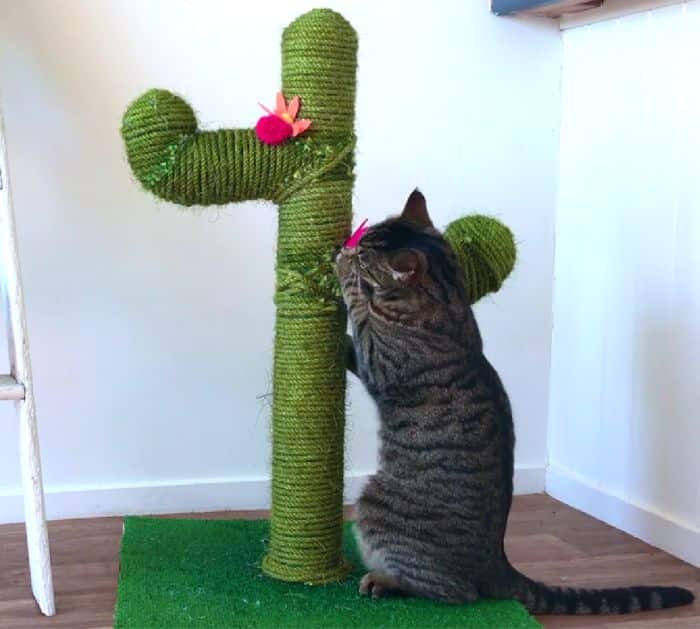 How to Make a DIY Cactus Cat Scratch Post Using PVC Pipes
