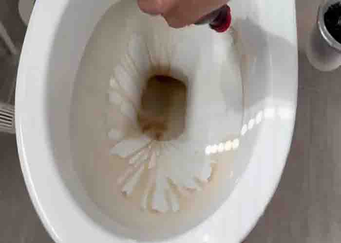 How To Clean Your Toilet Using CocaCola