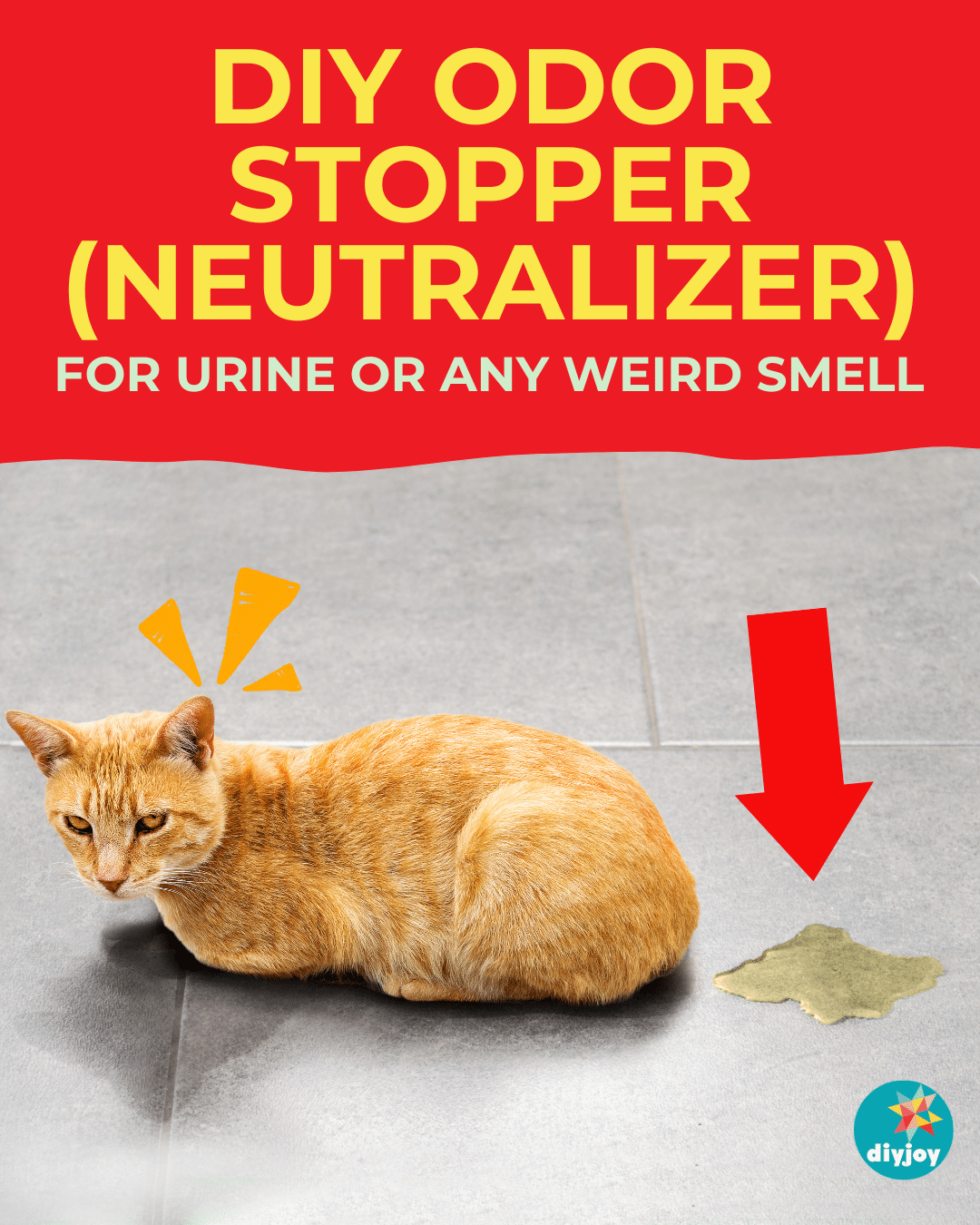 DIY Odor Stopper Solution (Neutralizer)