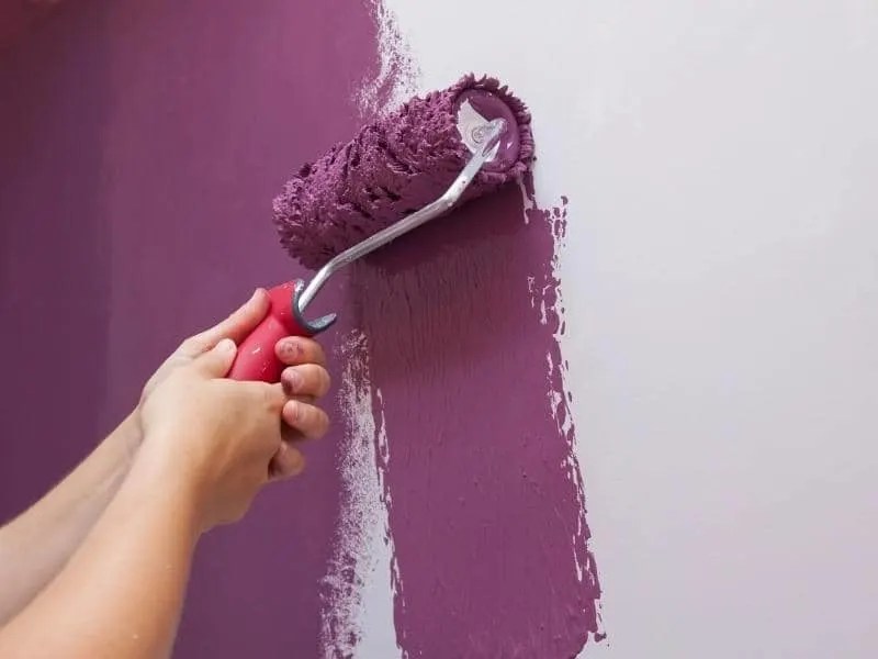 How Long Does Benjamin Moore Paint Take to Dry? (Answered)