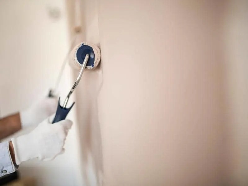 How Long Does Eggshell Paint Take to Dry? (Quick Answers)