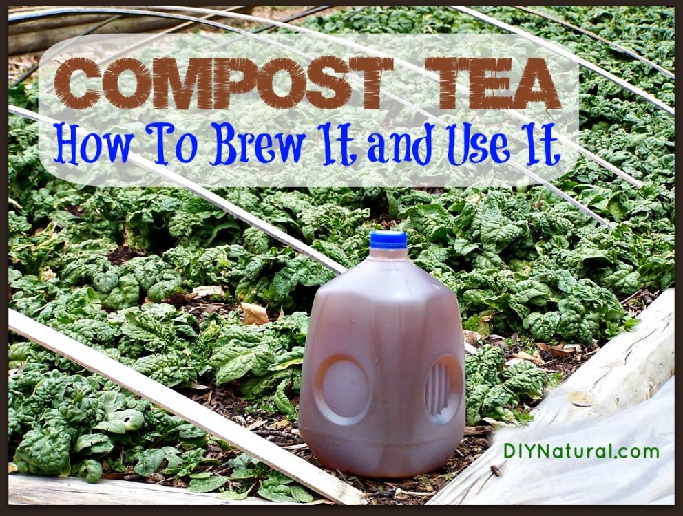 Compost Tea What It Is, How to Make It, and the Benefits