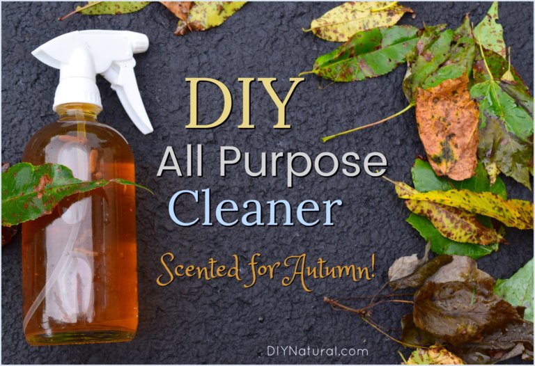 Autumn Scented Cleaner A Clove and Orange All Purpose Cleaner