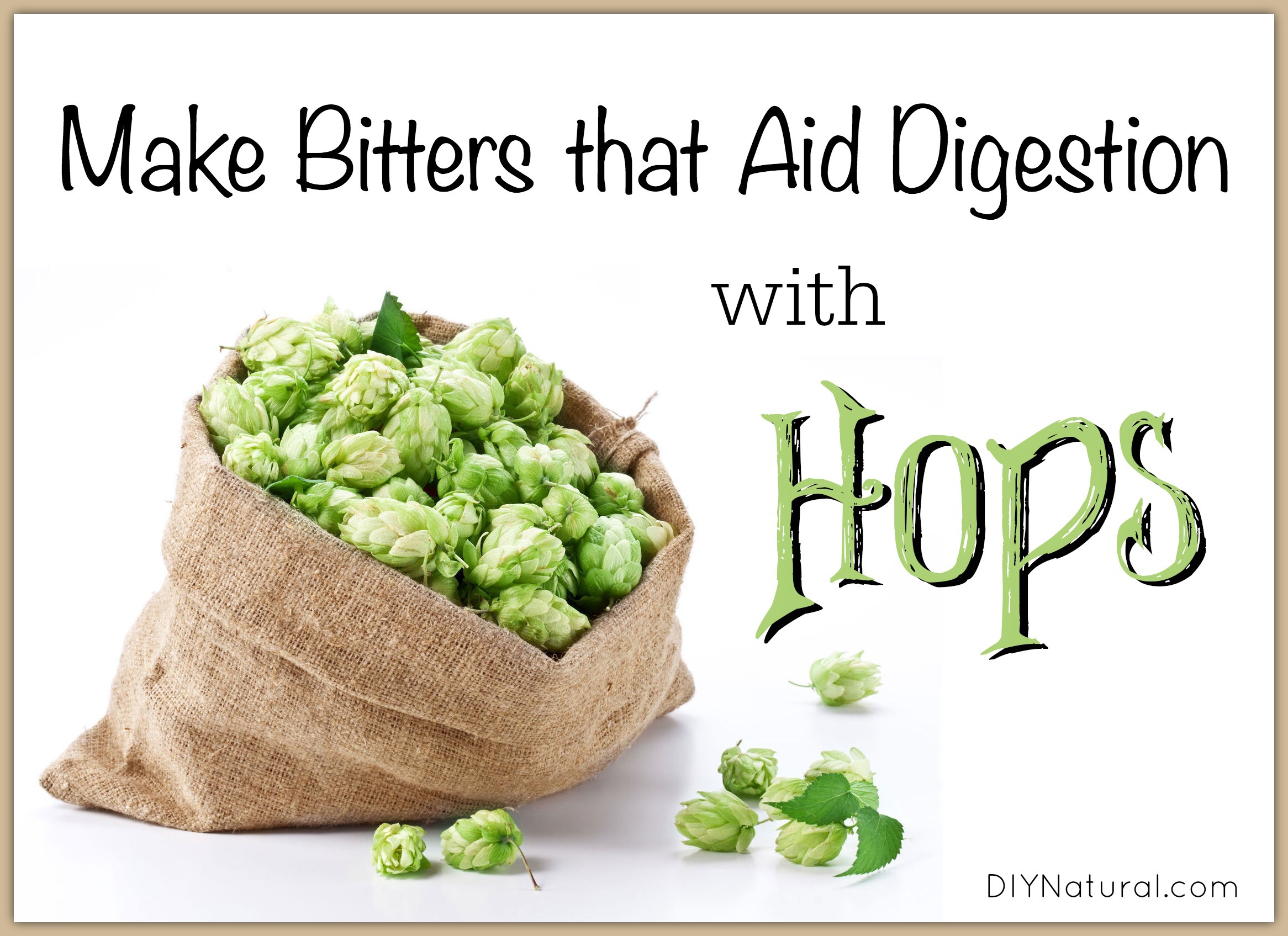 Making Bitters from Hops and Using Hops For Better Sleep and Digestion