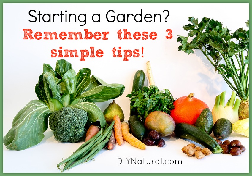 Starting A Garden 3 Important Tips To Consider
