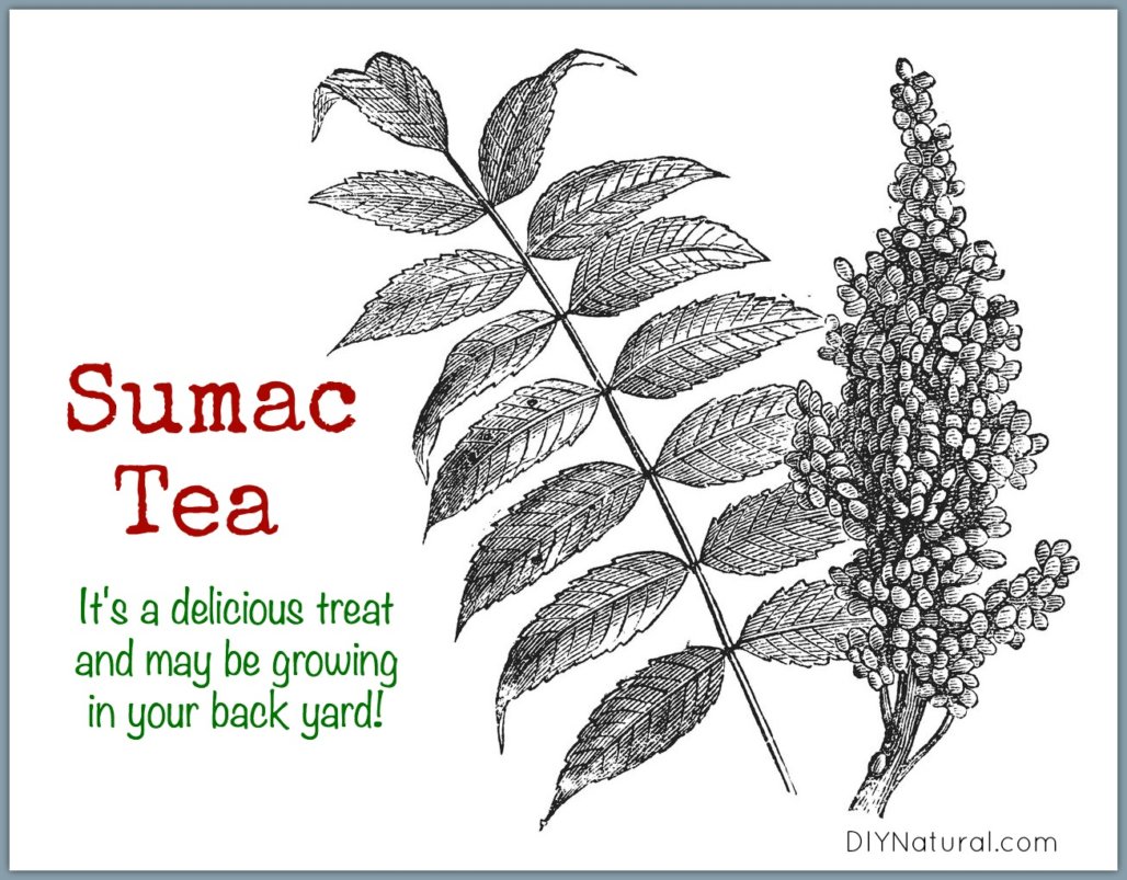 Sumac Tea AKA Sumac Lemonade is a Delicious Tea