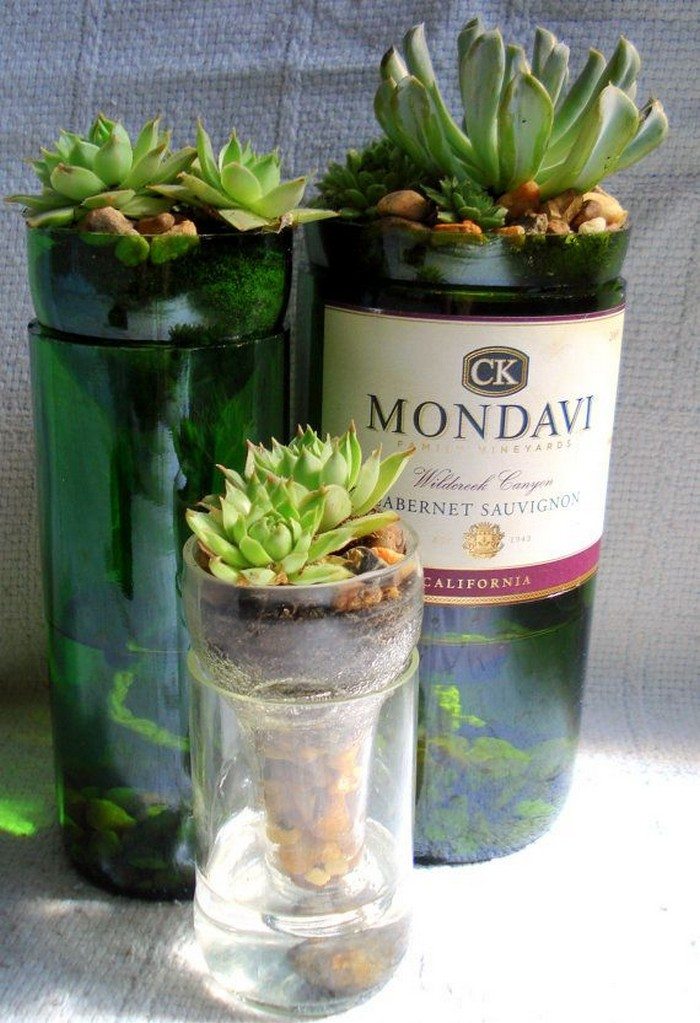 Turn wine bottles into succulent planters! DIY