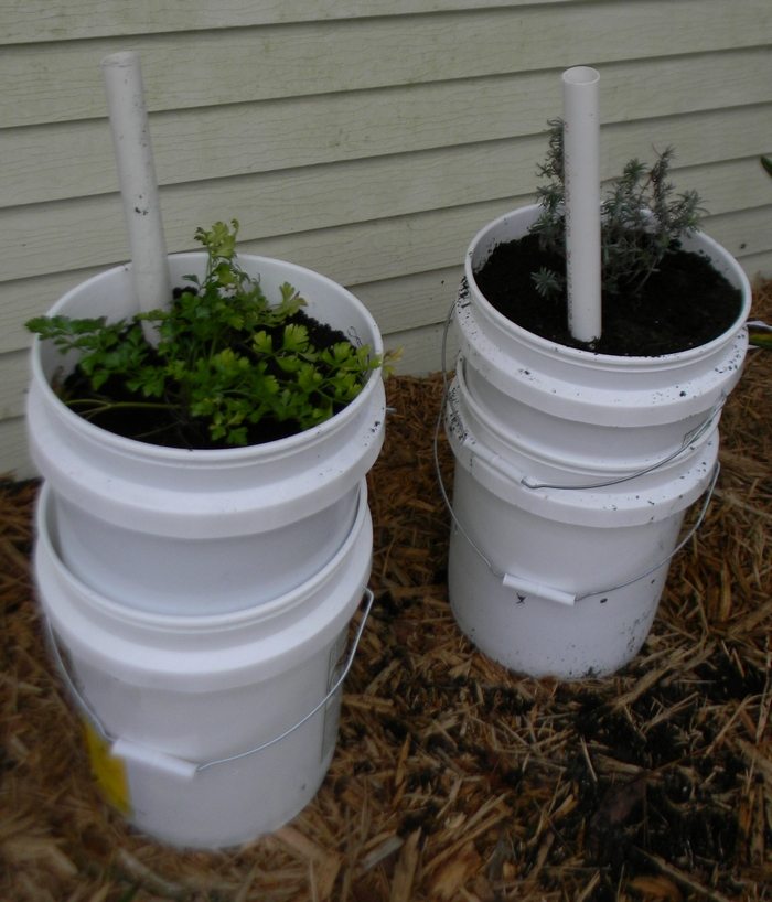 5 Gallon SelfWatering Tomato Container DIY projects for everyone!